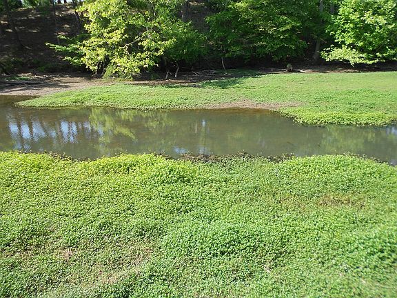 4th image of 0 Cypress Rd #15 & 6