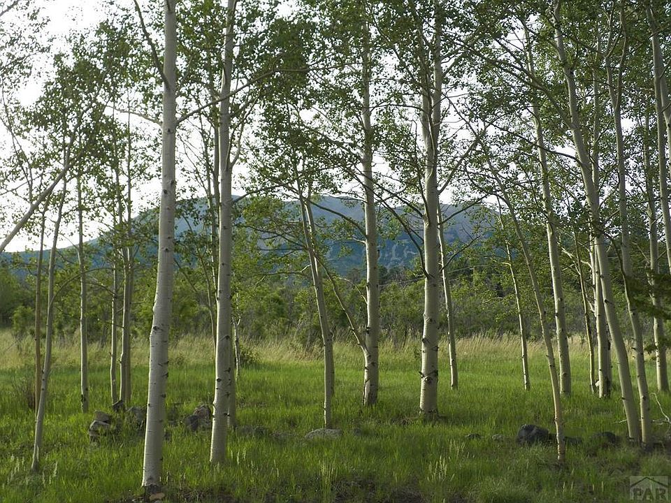 1st image of Tbd Mount Elbert Dr