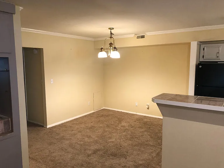7519 Spring Lake Dr #C1 — Photo 11
