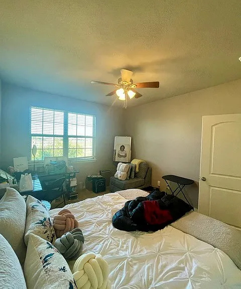 3803 Cascade Sky Dr — Photo 39