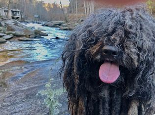 52 Rocky River Ln, Hendersonville, NC 28792