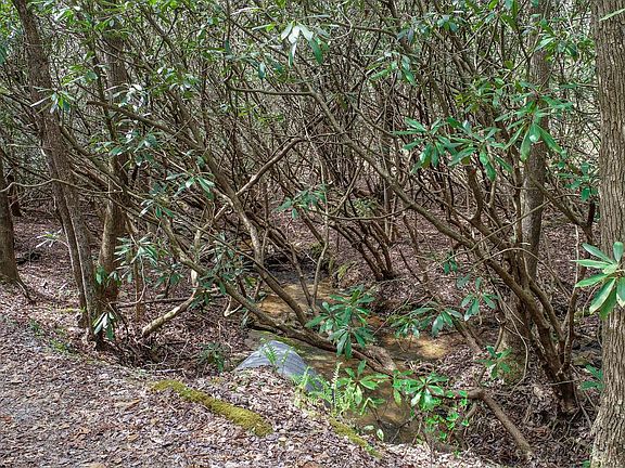 5th image of 500 Wildflower Ln