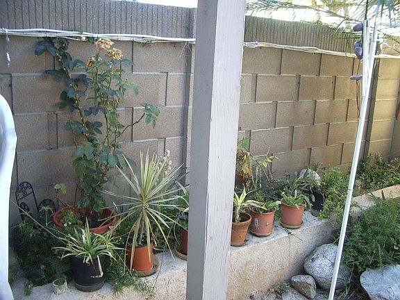 5th image of 16138 Crystal Creek Ln