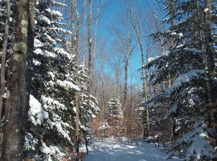 Valentine Rd, Grand Marais, MI 49839
