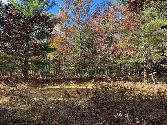 4th image of PARCEL 13 E County Line Rd