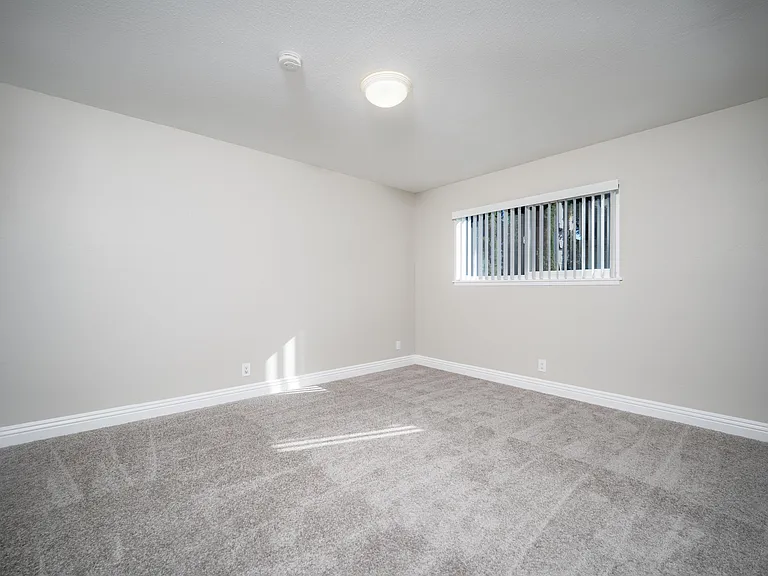 Palms B17 bed1 (1) Palms B17 bed1 (1)