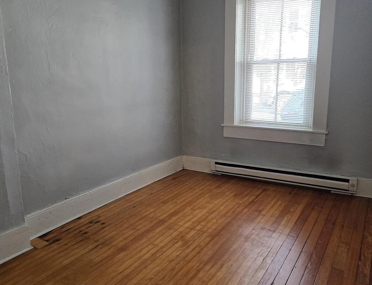 1 bed, 800 sqft, $1,000 — Photo 4