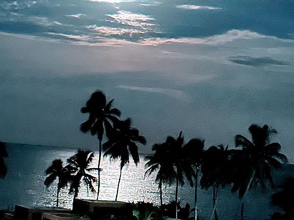 2nd image of 251 Crandon Blvd APT 437