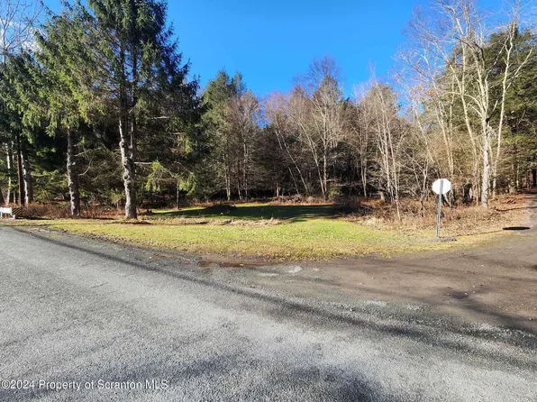 Pratt Hollow Rd, Nicholson, PA 18446