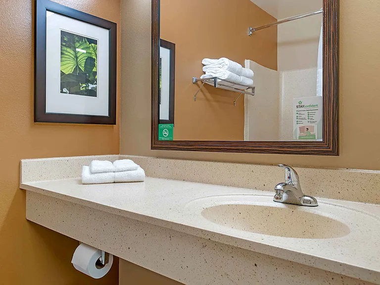 Studio Suite - 2 Full Beds