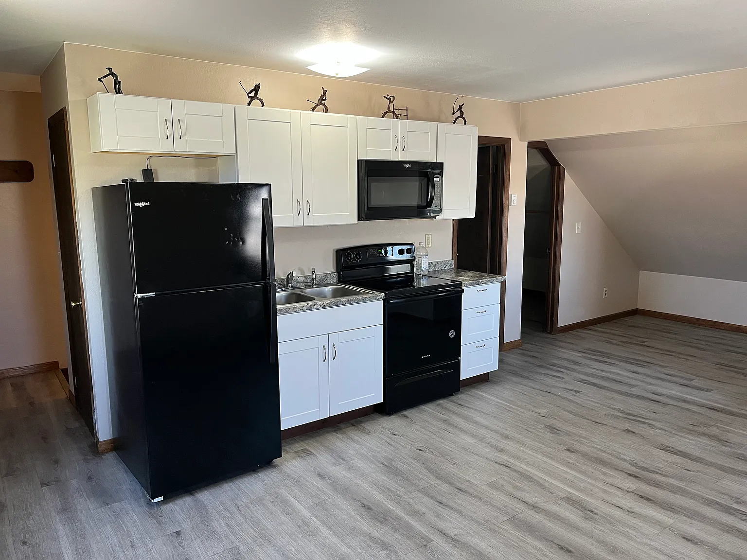 Studio, 450 sqft, $1,650 — Photo 2