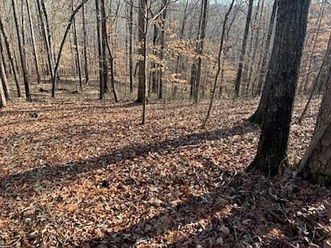 1st image of 323 William Falls Dr