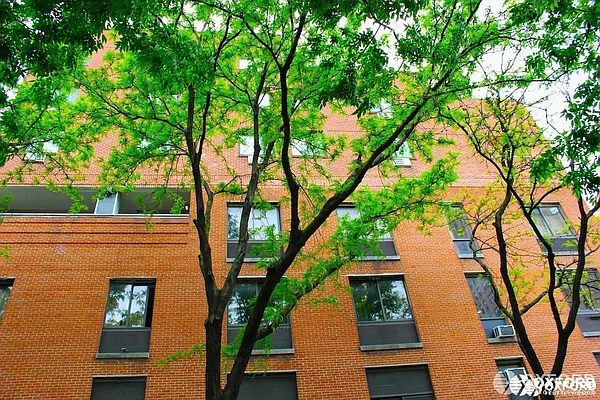 Rented by Oxford Property Group | media 64