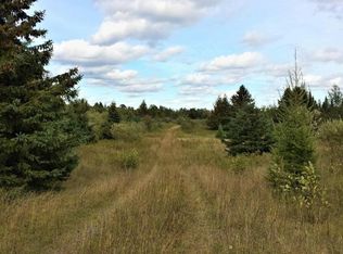 80104 Peeksville Rd, Butternut, WI 54514