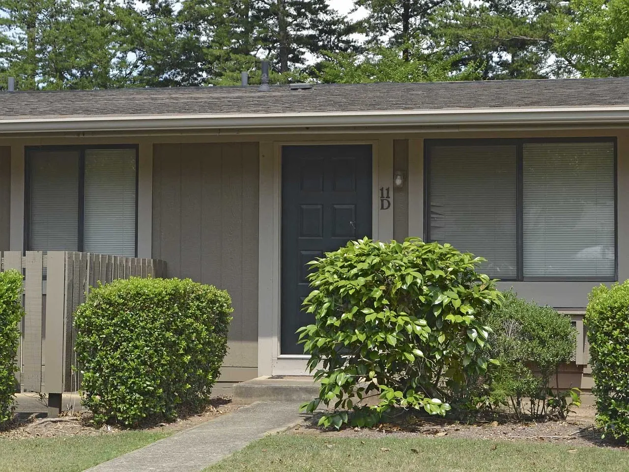Pine Hill — Photo 4