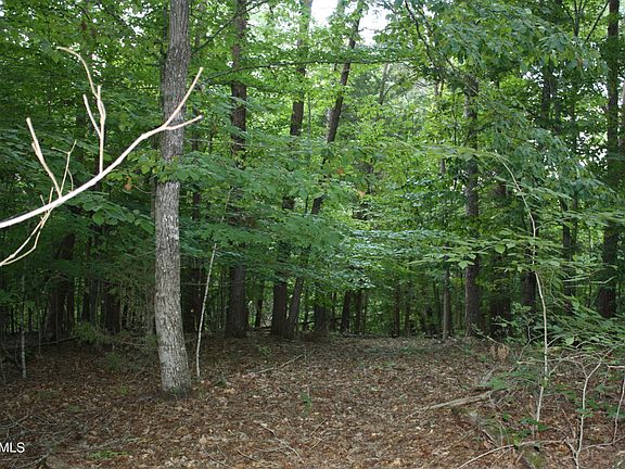 3rd image of Cove Springs Dr
