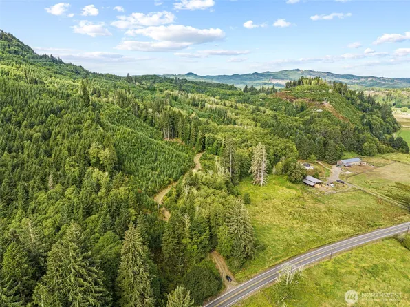 2 Lot A State Route 4 Highway, Skamokawa, WA 98674