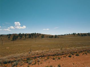 306 Red Cloud Rd, Guffey, CO 80820