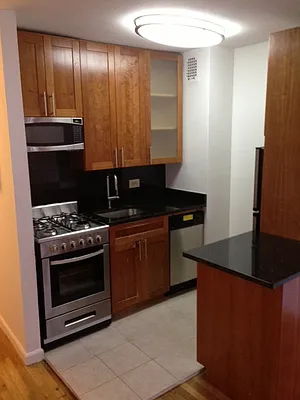 Rented by Manhattan Skyline | media 5