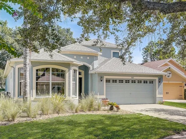 7803 Blue Spring Dr, Land O Lakes, FL 34637