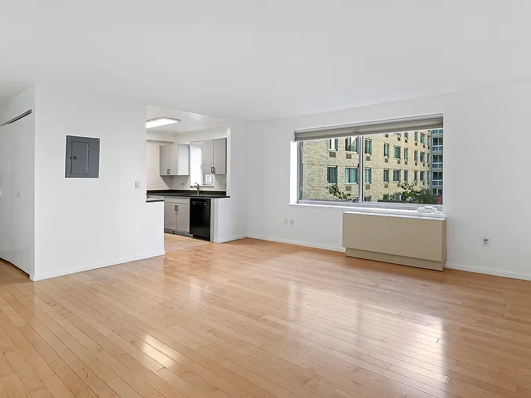 68 Bradhurst Ave #4E — Photo 4