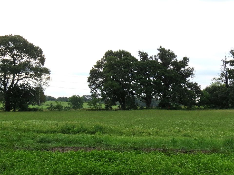 1st image of 355 County Road 3204