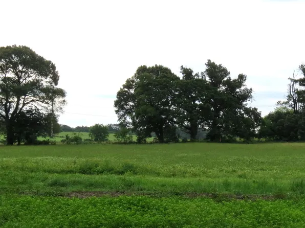 355 County Road 3204, Quitman, TX 75783