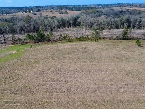 0 County Road 5, Ozark, AL 36360