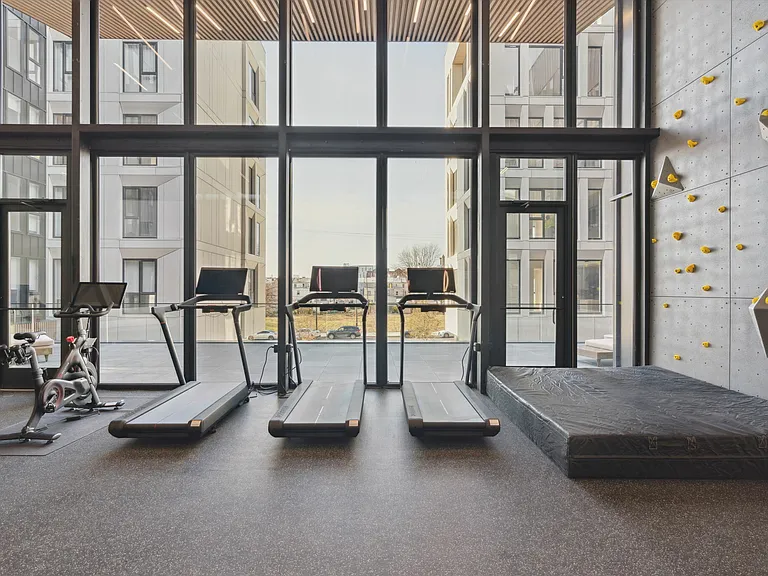 Peloton Cardio & Rock Climbing Wall