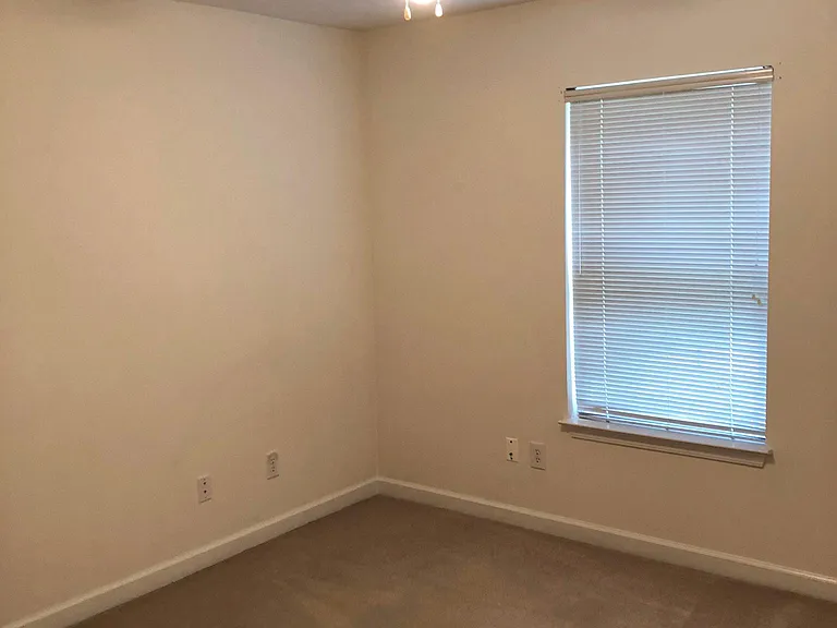 208 Shore Rush Dr — Photo 16