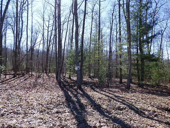 3rd image of 153 Saint Michaels Ln