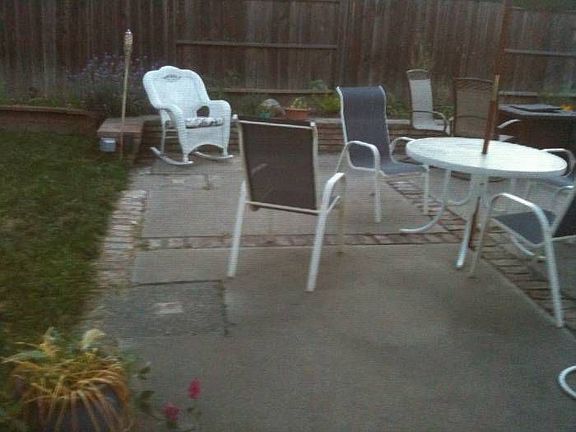 Part of back yard
