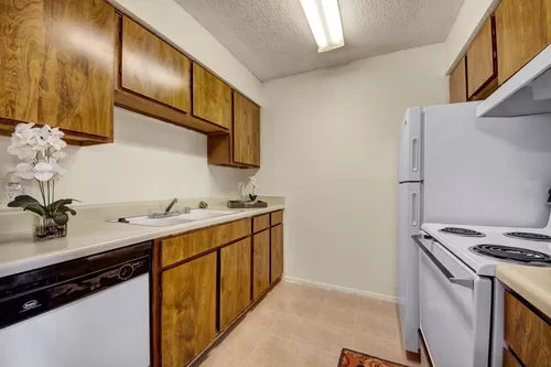 A kitchen with overhead lighting, lots of cabinet space, and a dishwasher - The Bradford