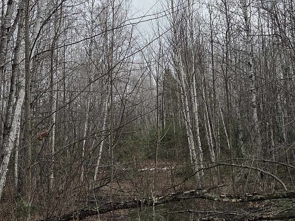 2nd image of County Road K