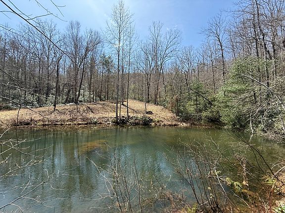 2nd image of 142 Stone Valley Cir
