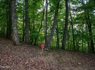 0 Desoto Trl, Marble, NC 28905