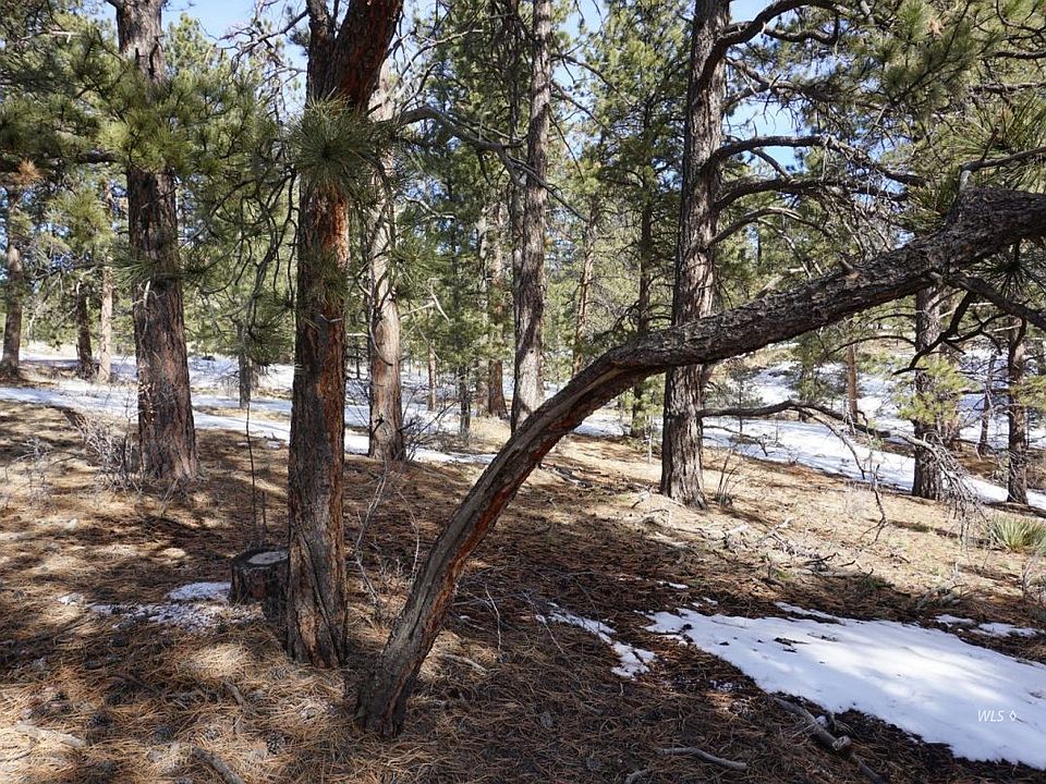 1st image of 1000 Larkspur Ln