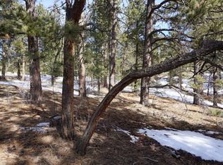 1000 Larkspur Ln, Westcliffe, CO 81252