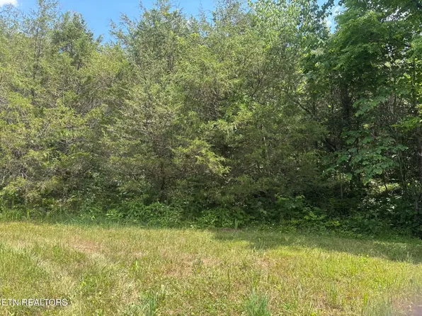 0 Mulberry Gap Rd, Sneedville, TN 37869