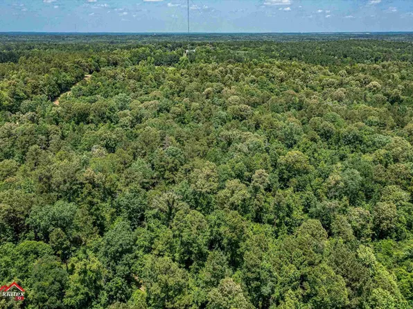 Fm 3135 E #3, Henderson, TX 75652