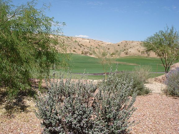View From Back Patio