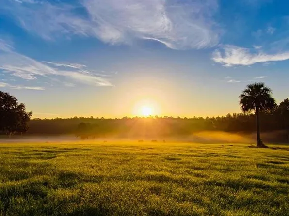 W Highway 329, Reddick, FL 32686