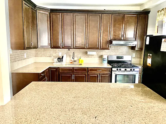 Rented by Luxury Apartments LIC | media 3