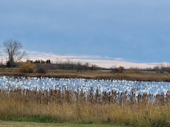 5028 50th Ave, Holden, AB T0B 2C0