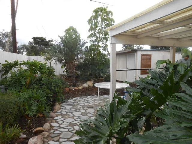 Exclusive use backyard and storage shed