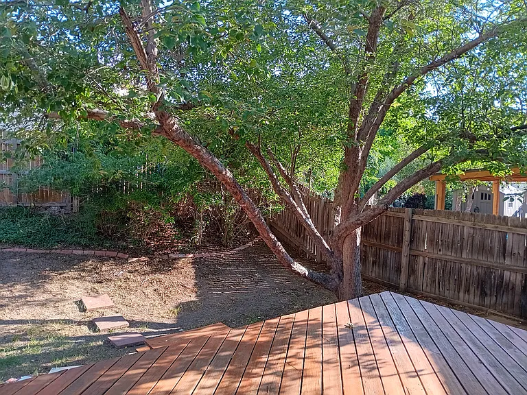 12' x 16' deck!