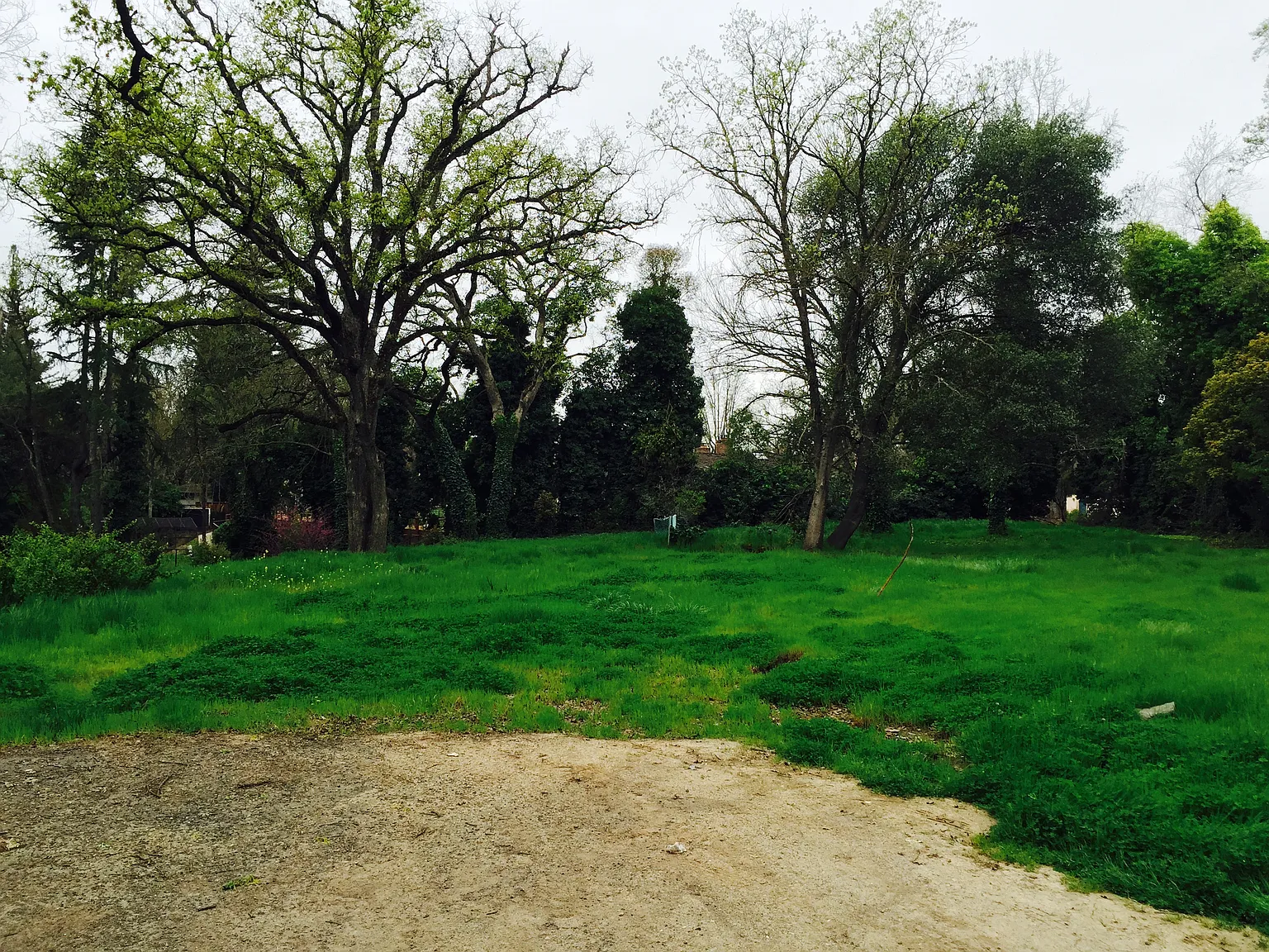 3600 Winding Creek Rd photo 1