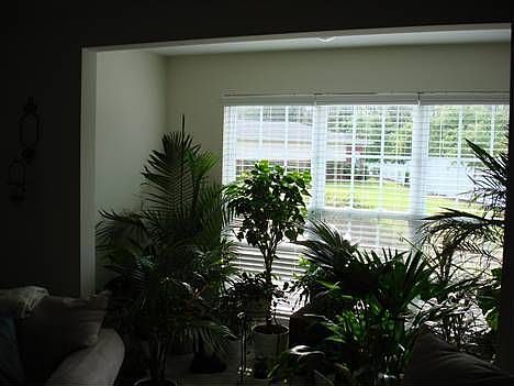 4th image of 1521 Cadfel Ct Unit 104