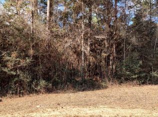 Walker St LOT 163, Lumberton, MS 39455