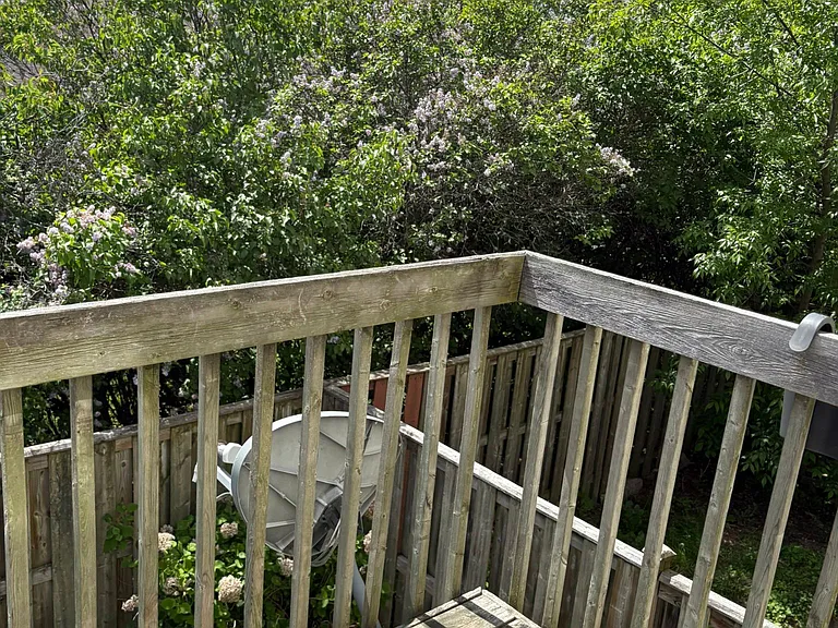 30 McDermot Ct #45 — Photo 8